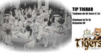 Start för TiP Taekwon-do ITF med barngruppen Tigrarna tigrar2